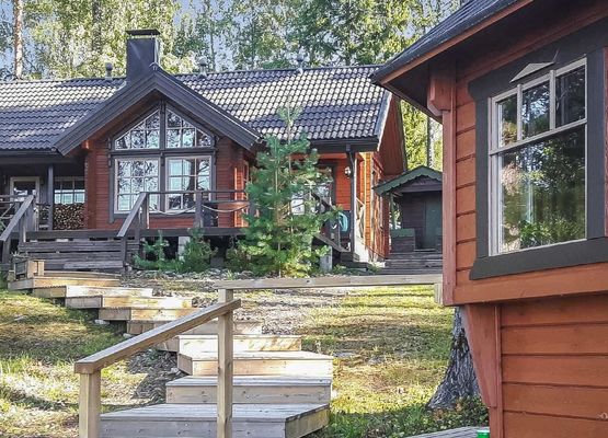 Puolen hehtaarin metsä