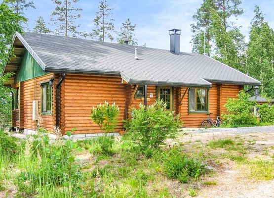 Kallionnenä