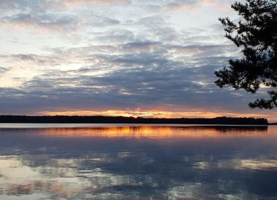 Lähesniemi