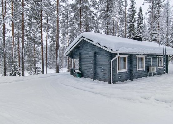 Lohiukko