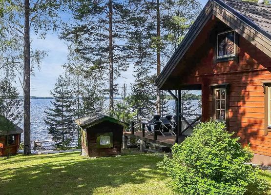 Puolen hehtaarin metsä