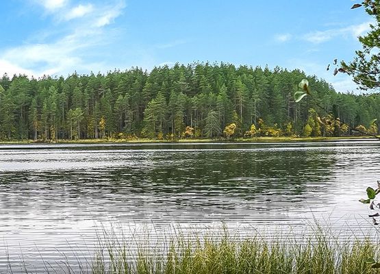 Kanerva