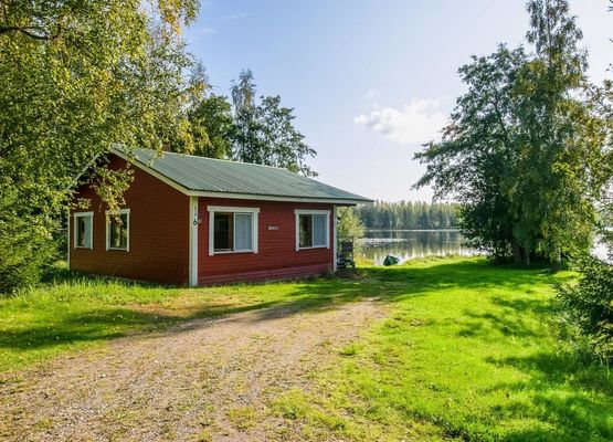 Kanerva 6