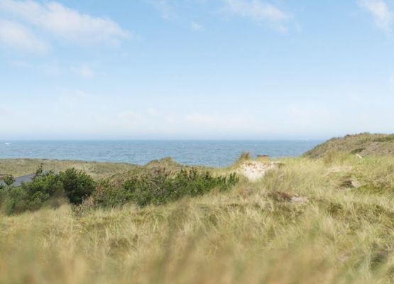 "Seved" - 500m from the sea in NW Jutland
