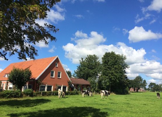 Tolles Ferienhaus für 18 Personen in Ostfriesland mit Kino, Bar, Sauna und Whirlpool