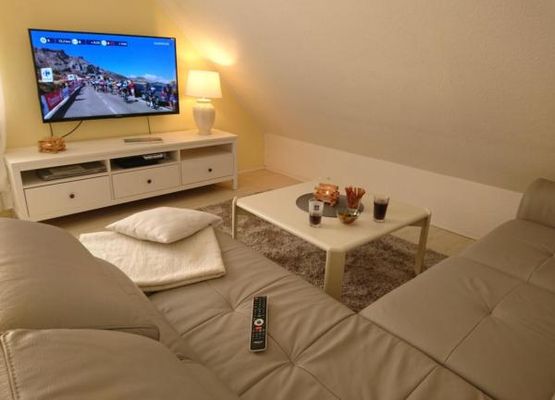 Das Wohnzimmer mit 55" Smart TV