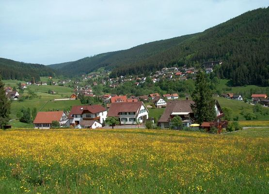 Blick ins Tonbachtal