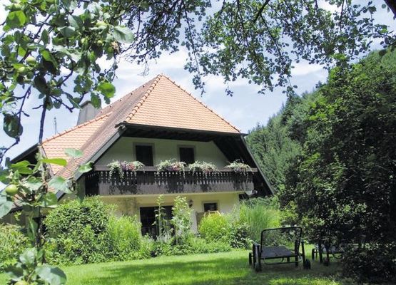 Haus Brigitte - Hintere Mühle - Ferienwohnung 40qm Blumenwiese