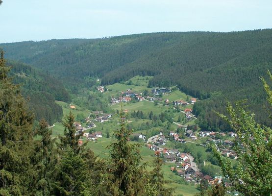 Blick vom Rinkenturm ins Tonbachtal