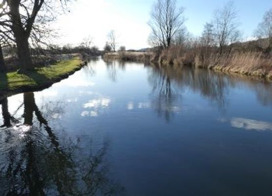 Fluss Aach in Bohlingen