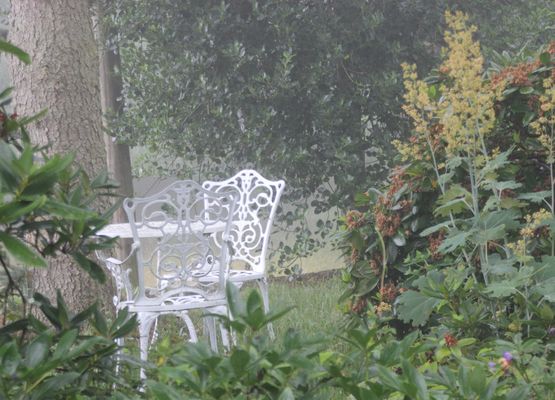 Garten Haus Ilex - Sommerregen