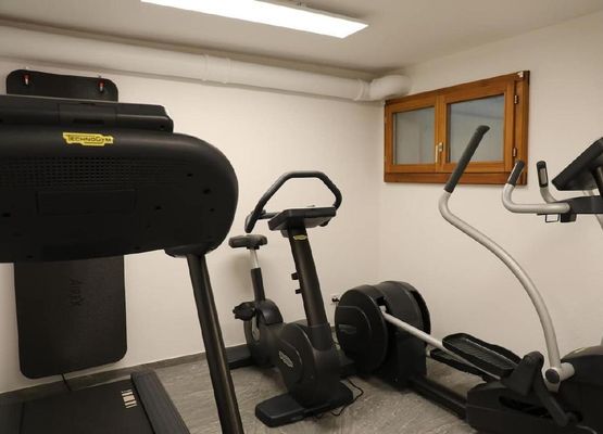 Privater Fitnessraum mit Crosstrainer, Laufband, Rudergerät, Ergometer  im eigenen Haus (alleinige Benutzung)