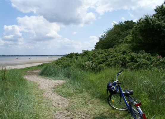 Fahrradtour zum Strand