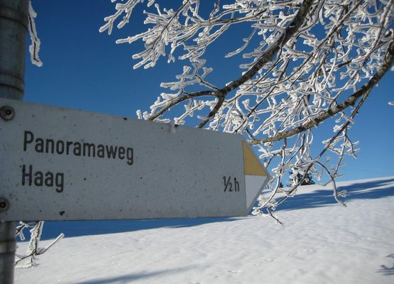 Auch im Winter: Panoramaweg