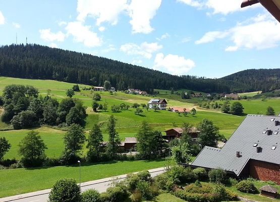 Aussicht App. Schwarzwaldgrund